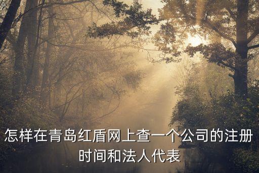 青島紅盾，怎樣在青島紅盾網(wǎng)上查一個公司的注冊時間和法人代表