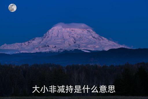 大小非減持是什么意思