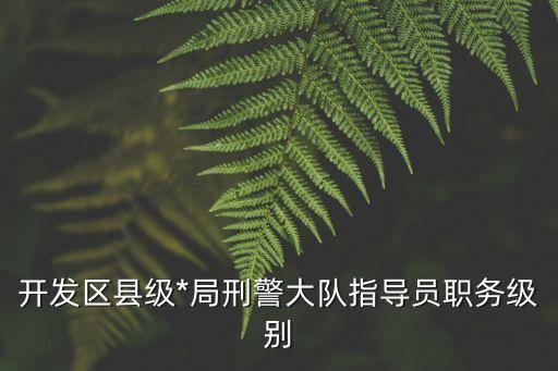 開發(fā)區(qū)縣級*局刑警大隊指導員職務級別