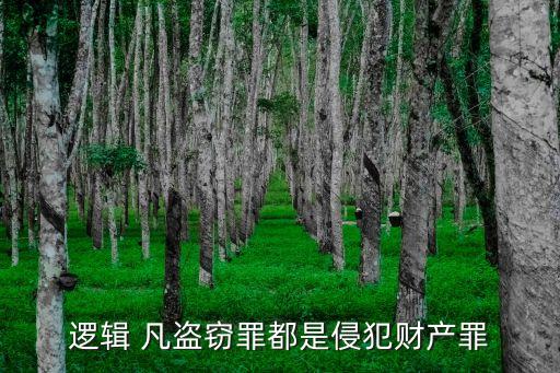 邏輯 凡盜竊罪都是侵犯財產(chǎn)罪