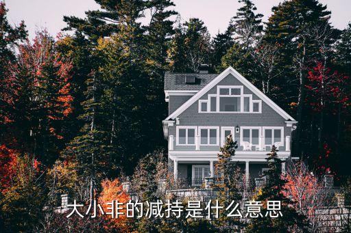 大小非減持，大小非減持是什么意思