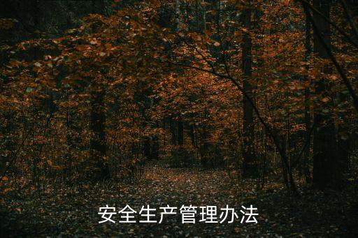 安全生產(chǎn)管理?xiàng)l例，安全生產(chǎn)管理?xiàng)l例