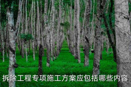 拆除工程專項(xiàng)施工方案應(yīng)包括哪些內(nèi)容