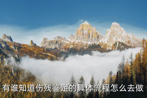 有誰知道傷殘鑒定的具體流程怎么去做