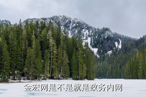金宏網(wǎng)，金宏網(wǎng)是不是就是政務(wù)內(nèi)網(wǎng)