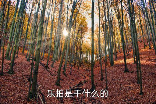 樂(lè)拍是干什么的
