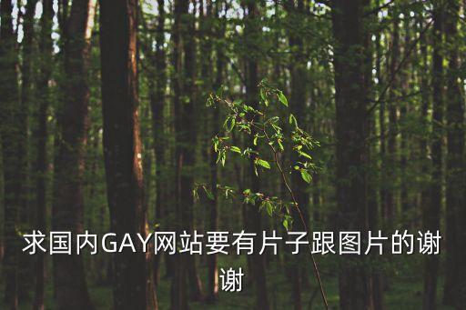 小雞雞網(wǎng)站，可以用手機(jī)登陸的gay網(wǎng)站