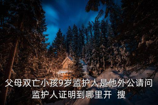 父母雙亡小孩9歲監(jiān)護人是他外公請問監(jiān)護人證明到哪里開  搜