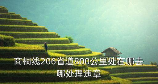 商桐，商桐高速途徑上蔡哪些鄉(xiāng)多少公里