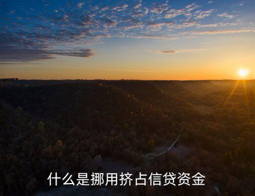 什么是挪用擠占信貸資金