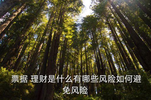  票據(jù) 理財是什么有哪些風(fēng)險如何避免風(fēng)險