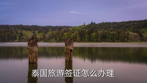 泰國旅游簽證，泰國旅游個人簽證如何辦理