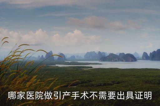 不需要引產(chǎn)證明的醫(yī)院，哪個(gè)醫(yī)院不要引產(chǎn)證明