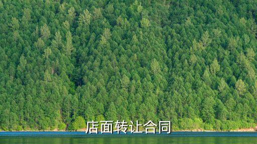 店鋪轉(zhuǎn)讓合同范本，店鋪經(jīng)營(yíng)權(quán)轉(zhuǎn)讓合同