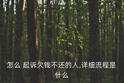 個人欠錢不還的怎么起訴,自己寫起訴書怎么寫