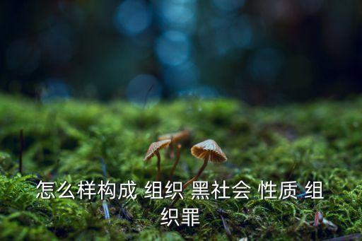 怎么樣構(gòu)成 組織 黑社會 性質(zhì) 組織罪