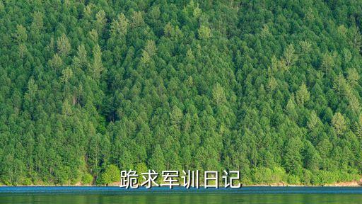 軍訓(xùn)日志，求軍訓(xùn)日記十二篇