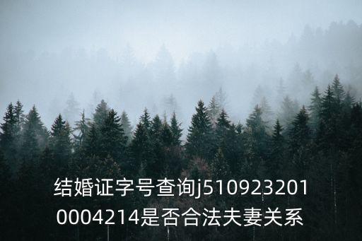 結(jié)婚證字號查詢，結(jié)婚證字號在外地可以查詢的到嗎