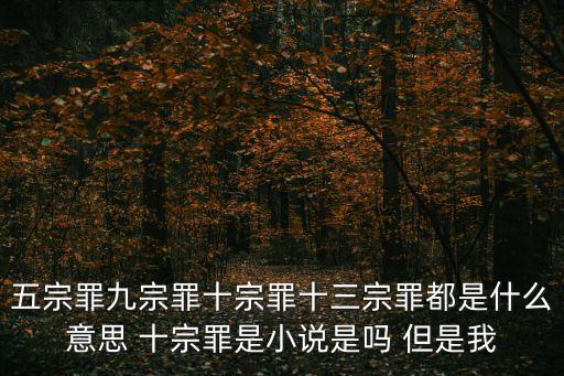 九宗罪，五宗罪九宗罪十宗罪十三宗罪都是什么意思 十宗罪是小說是嗎 但是我