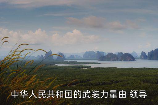 領導全國武裝力量，中國武裝力量有多少人