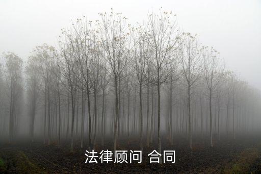 業(yè)務(wù)咨詢費(fèi)合同,收到業(yè)務(wù)咨詢費(fèi),列入小金庫