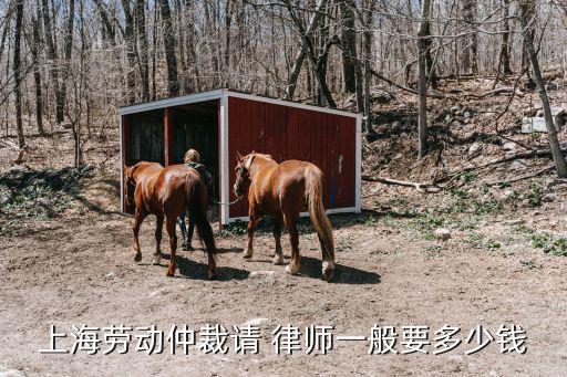 金山區(qū)合同法律師怎么收費(fèi)