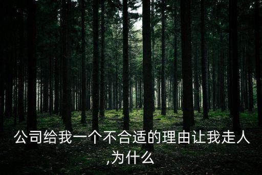 借口公司