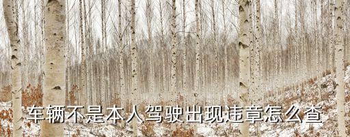 不是自己的車怎么查違章，車輛不是本人駕駛出現(xiàn)違章怎么查
