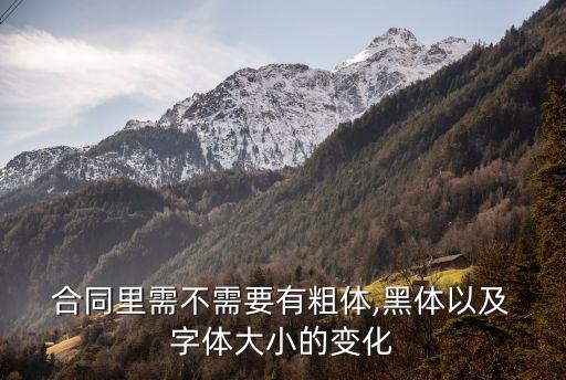  合同里需不需要有粗體,黑體以及 字體大小的變化