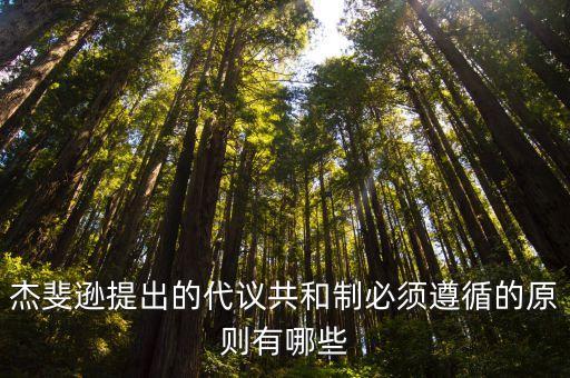 人民主權(quán)原則，中華國(guó)民之主權(quán)屬于國(guó)民全體體現(xiàn)了什么原則