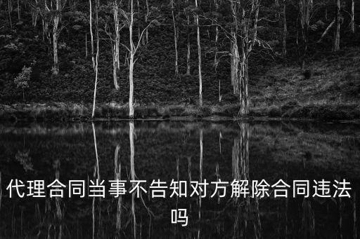 民法典的合同法案例