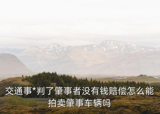 事故車拍賣，交通事*判了肇事者沒有錢賠償怎么能拍賣肇事車輛嗎