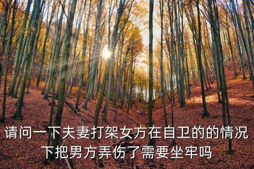 女人打男人犯法嗎，請問一下夫妻打架女方在自衛(wèi)的的情況下把男方弄傷了需要坐牢嗎