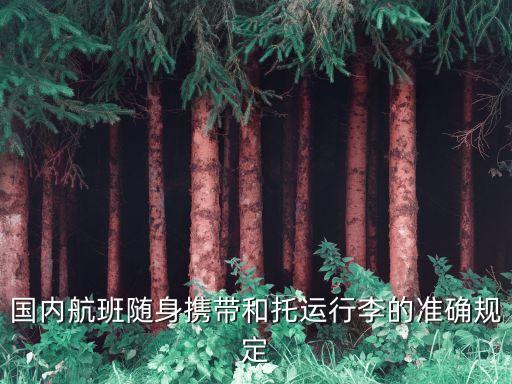 飛機(jī)行李托運(yùn)規(guī)定，國(guó)內(nèi)航班隨身攜帶和托運(yùn)行李的準(zhǔn)確規(guī)定