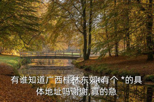 有誰知道廣西桂林東郊!有個 *的具體地址嗎謝謝,真的急