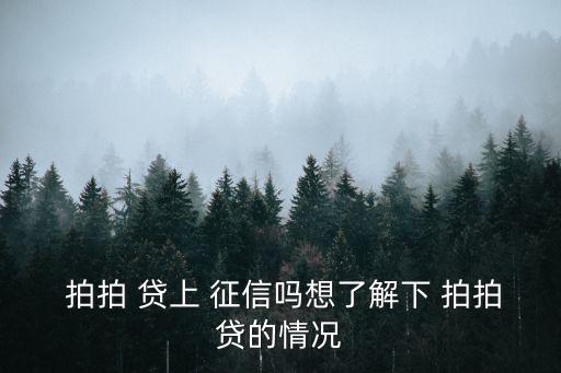 拍拍貸上征信嗎,有人查過拍拍貸上征信嗎