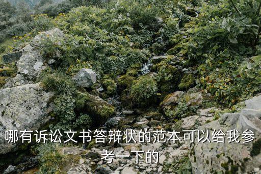 答辯狀模板，哪有訴訟文書(shū)答辯狀的范本可以給我參考一下的