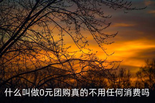 零元，什么叫做0元團購真的不用任何消費嗎
