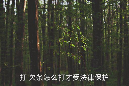 正規(guī)欠條怎么打合法,正規(guī)個人欠條怎么打