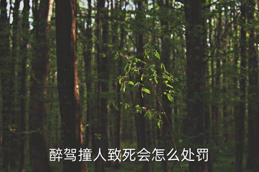 醉駕撞死人，醉駕撞人致死會(huì)怎么處罰