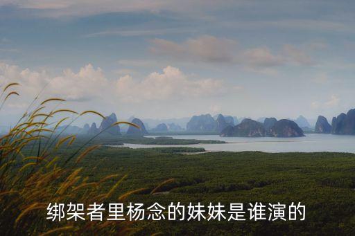綁架者里楊念的妹妹是誰演的