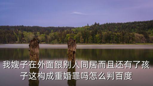 我嫂子在外面跟別人同居而且還有了孩子這構(gòu)成重婚罪嗎怎么判百度