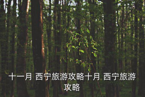 西寧在線