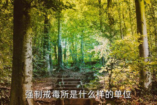強制戒毒所是什么樣的單位