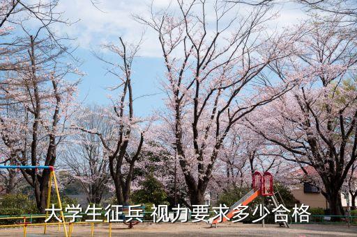 入伍視力要求,2023年入伍視力要求
