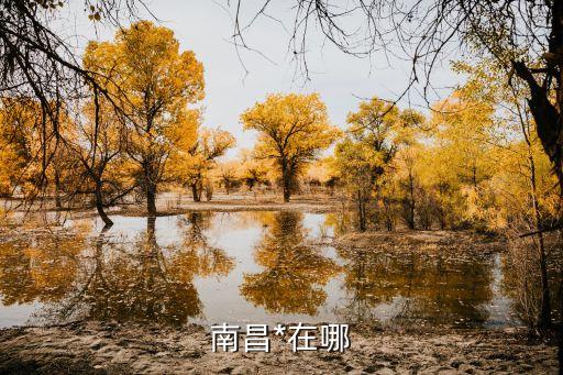南昌*，江西南昌市有幾個*