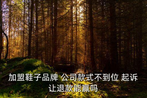 起訴加盟公司的成功率是多少