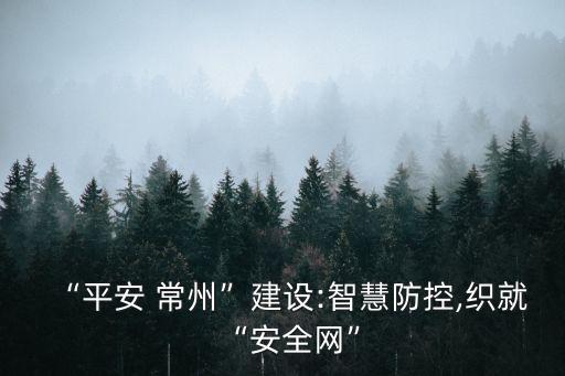 “平安 常州”建設(shè):智慧防控,織就“安全網(wǎng)”