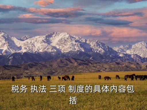 執(zhí)法三項制度,什么叫行政執(zhí)法三項制度