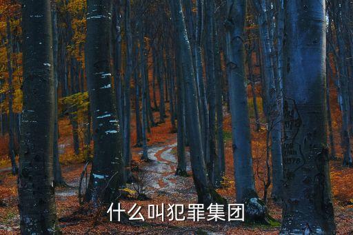 犯罪集團，刑法第二十六條規(guī)定的犯罪集團是指什么
